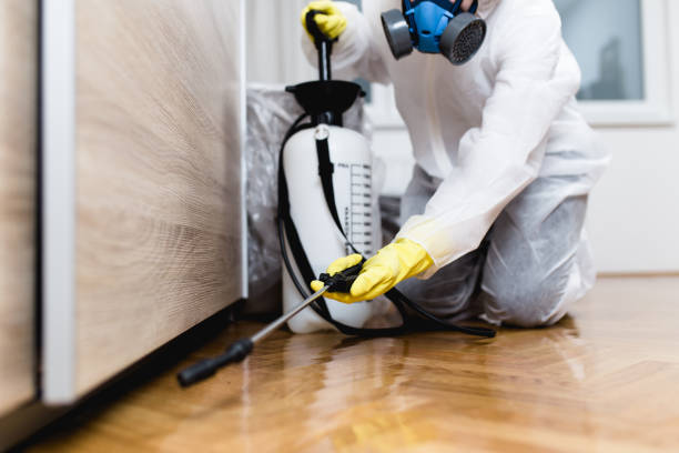  Camp Springs, MD Pest Control Pros