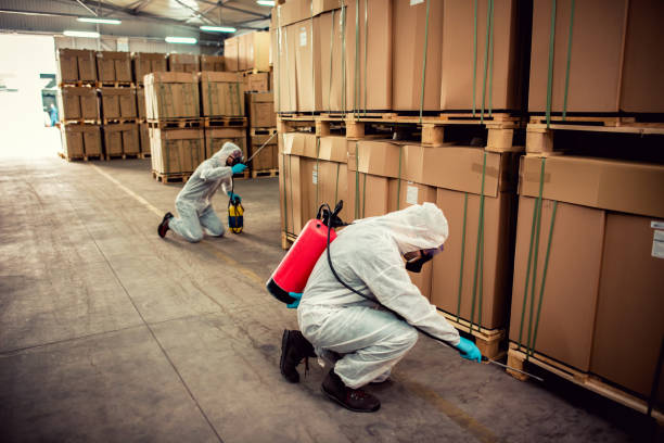 Best Pest Inspection Near Me  in Camp Springs, MD