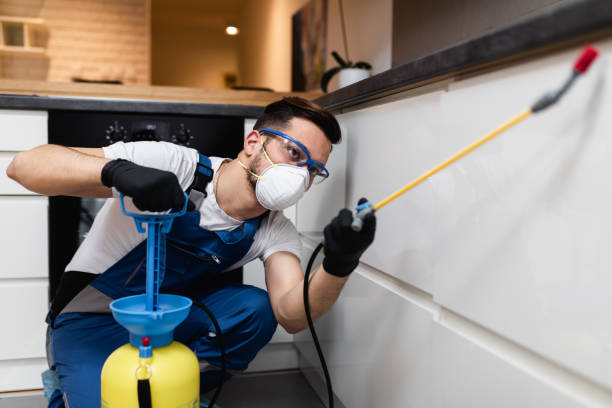 Best Rat Extermination Near Me  in Camp Springs, MD