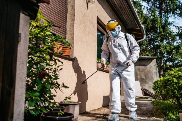 Best Commercial Pest Control Services  in Camp Springs, MD