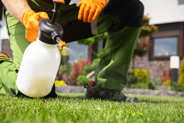 Best Rat Extermination Near Me  in Camp Springs, MD