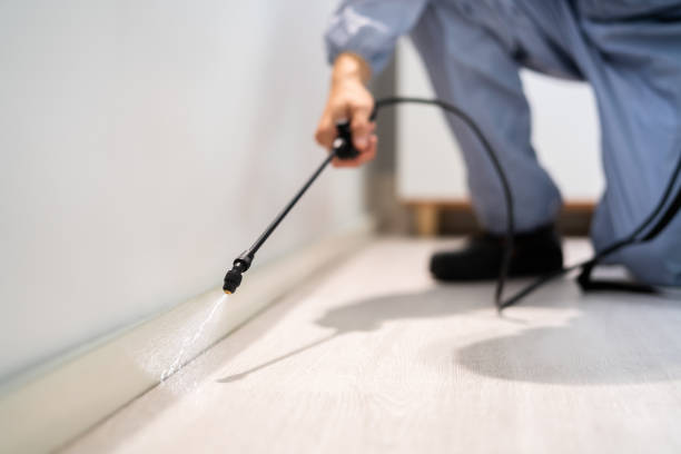 Best Commercial Pest Control Services  in Camp Springs, MD