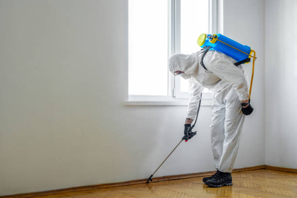 Best Wasp Removal Services  in Camp Springs, MD