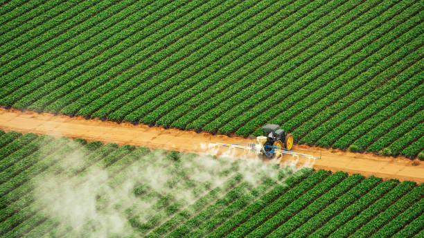 Best Mosquito Control Services  in Camp Springs, MD