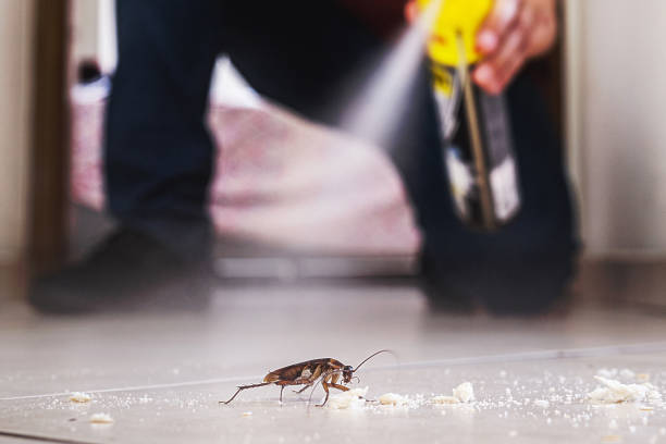 Best Bed Bug Extermination  in Camp Springs, MD