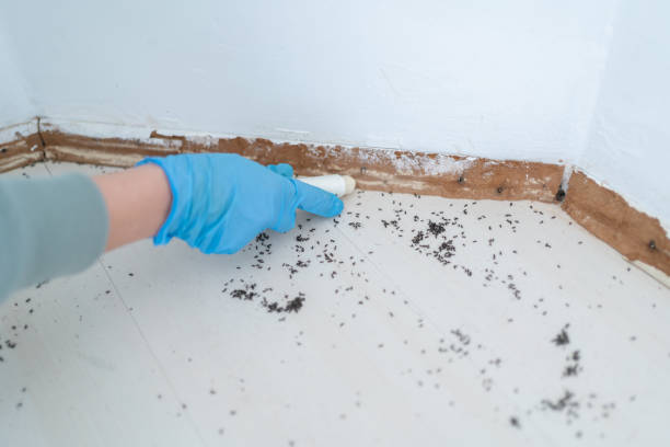 Best Residential Pest Control  in Camp Springs, MD