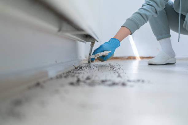 Pest Control for Restaurants in Camp Springs, MD