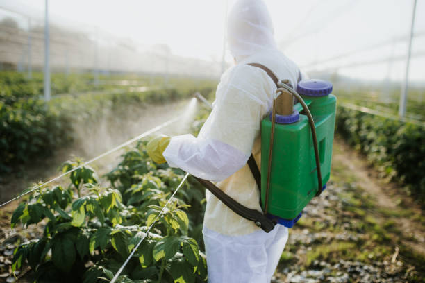 Best Best Pest Control Companies  in Camp Springs, MD